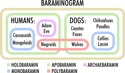 Baraminogram