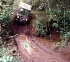 Muddy trail leading deep into the jungle