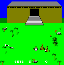 Noah gathering Middle Eastern kangaroos